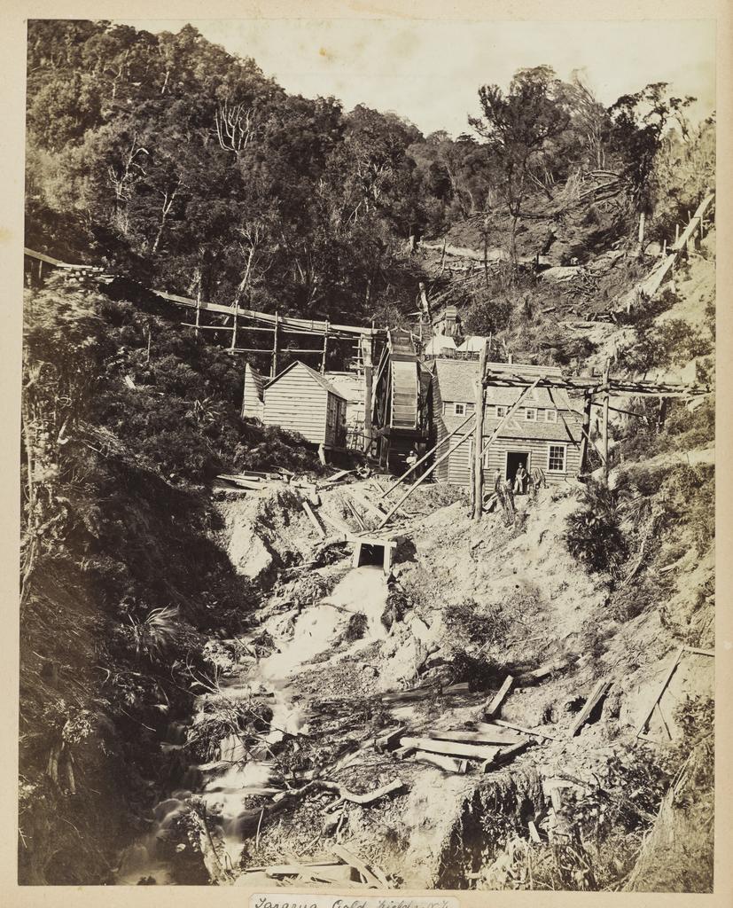 Tararua gold fields