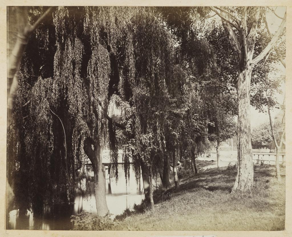 Bridge over the Avon, Christchurch