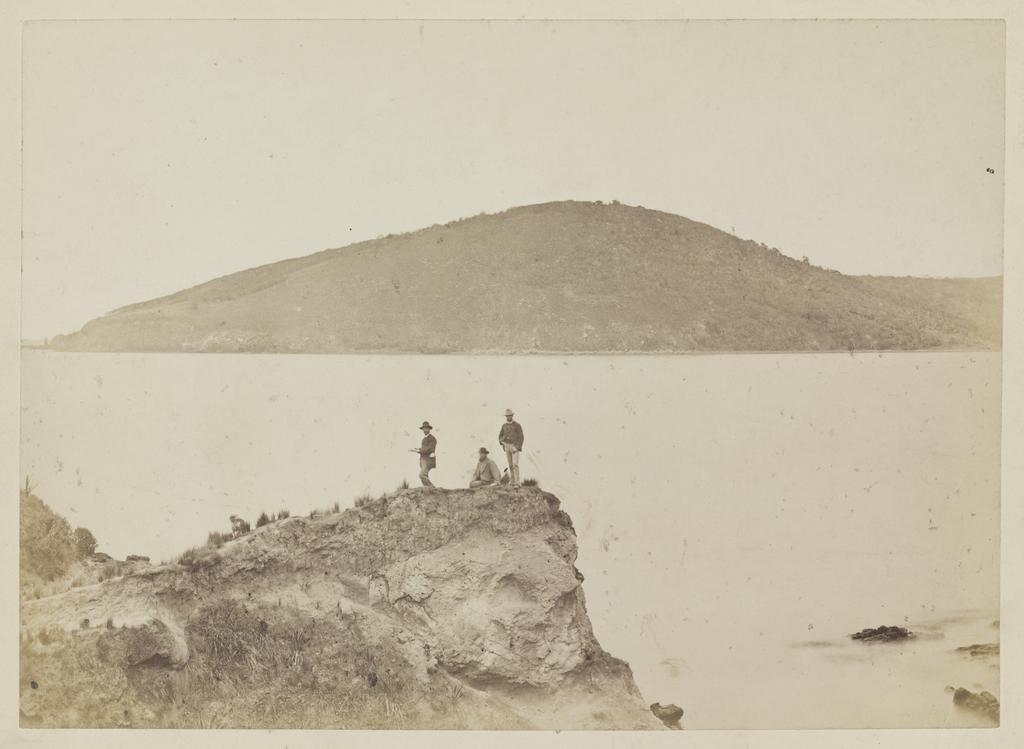 Purakaunui Bay and Potato Point from Mapoutahi