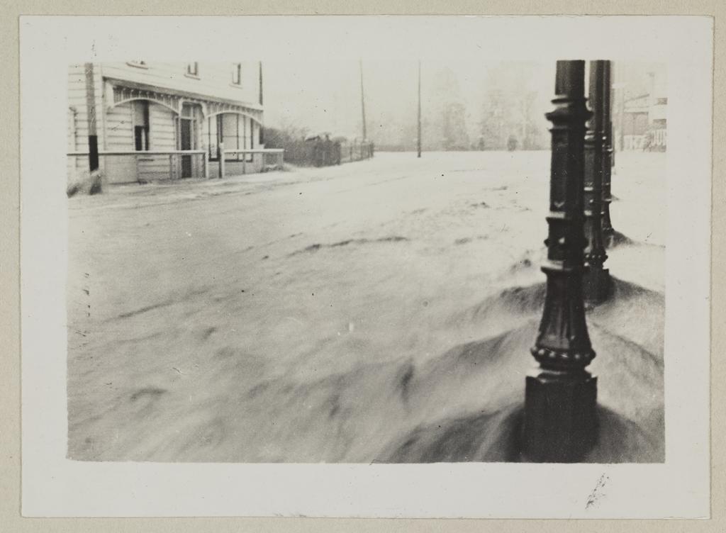 Cargill Road and Forbury Road