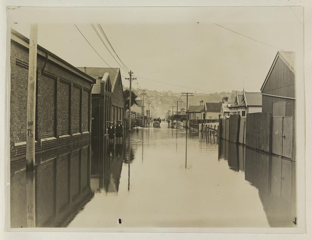 Bradshaw Street looking north