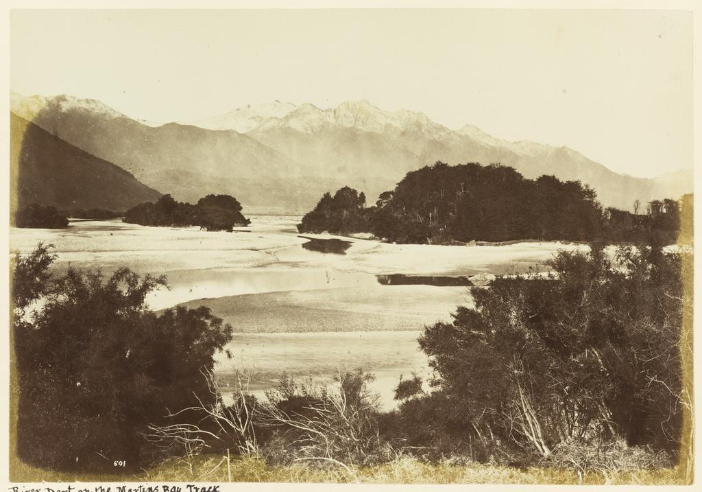 River Dart on the Martins Bay Track
