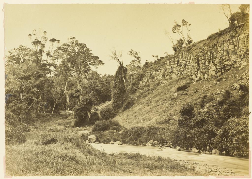 Old Botanical Gardens from Castle Street