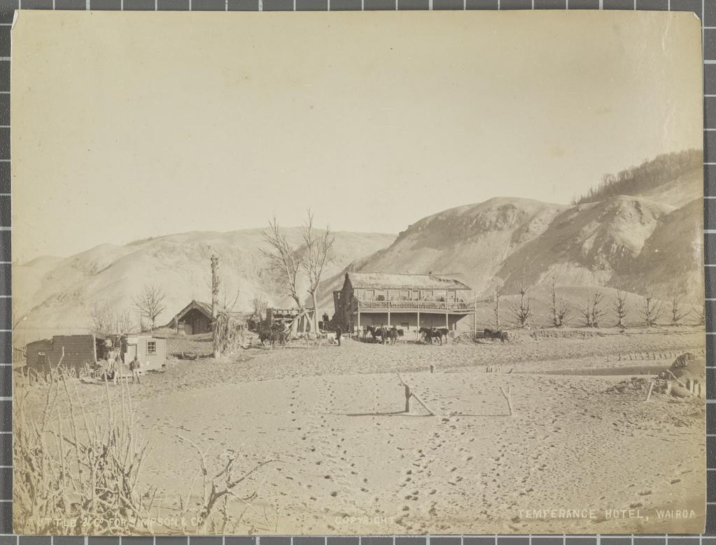 Temperance Hotel, Wairoa