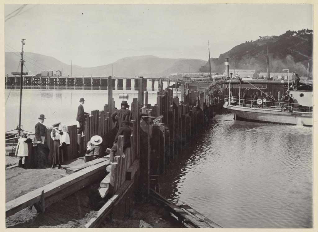 Group of adults and children at the wharf