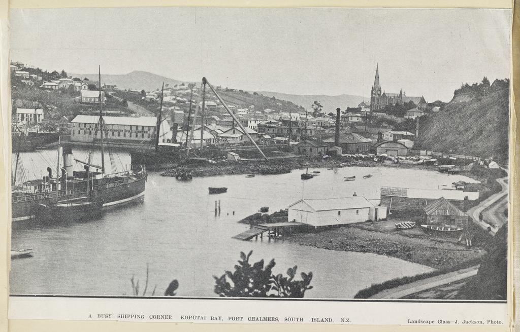 Clipping photograph of Koputai Bay, Port Chalmers