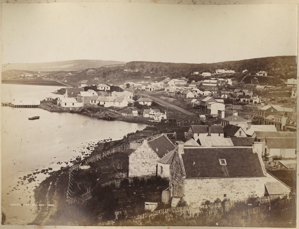 Dunedin from Bell Hill