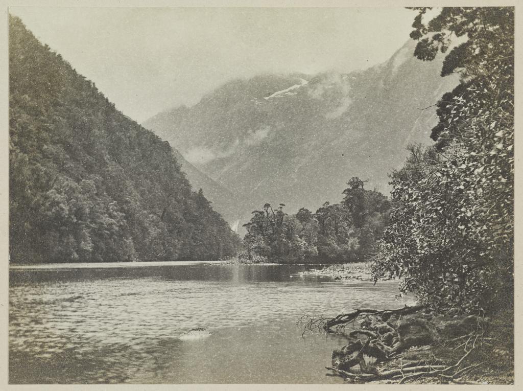 Arthur River, Milford Sound, looking down from boat landing