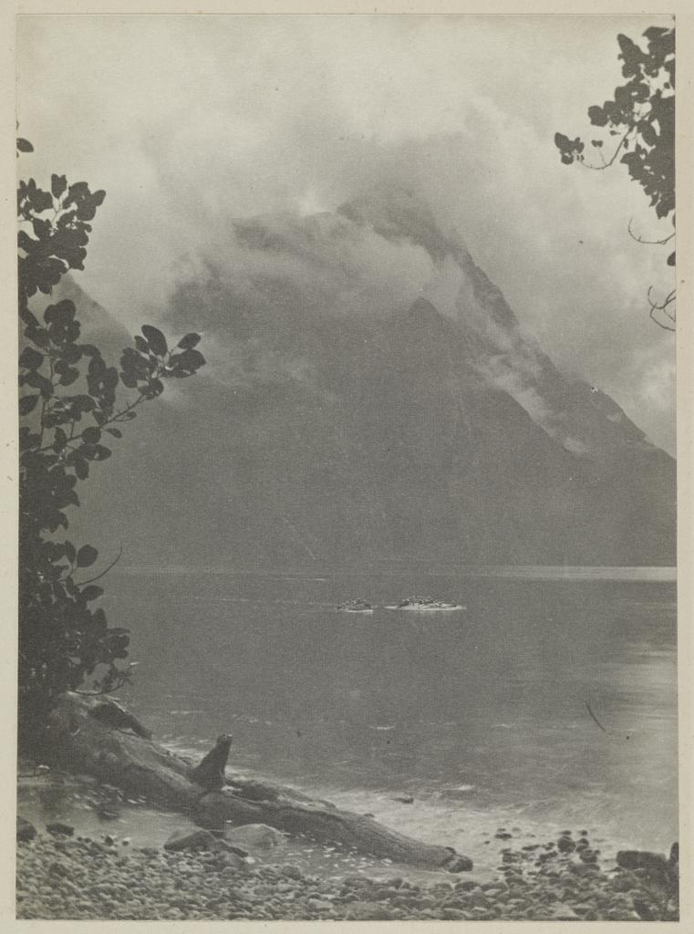Mitre Peak from Harrison Cove