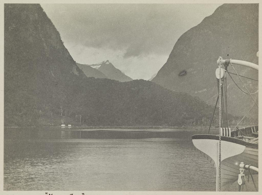 In Milford Sound