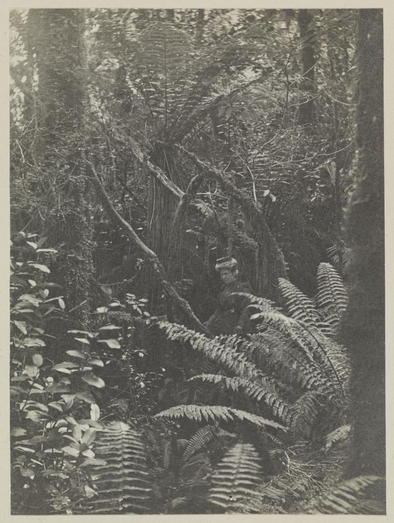 In the bush, Wet Jacket Arm