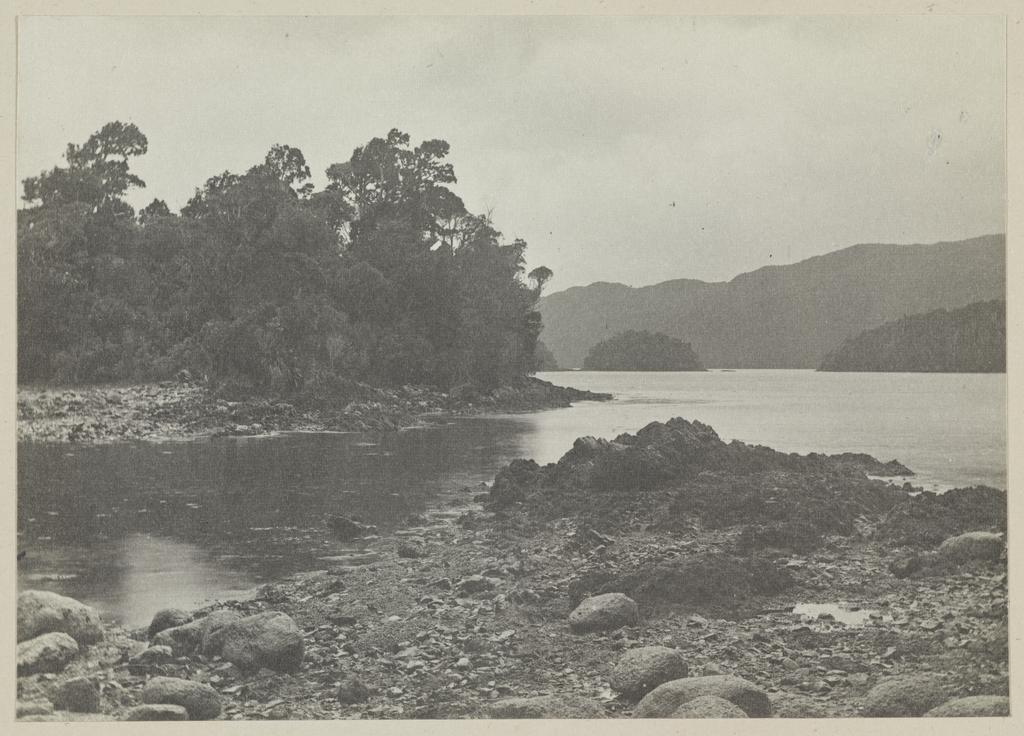 Preservation Inlet