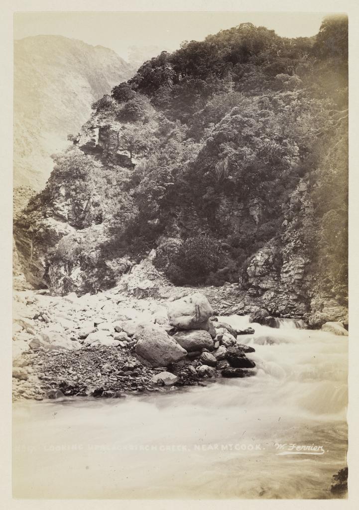 Looking up Black Birch Creek, near Mount Cook