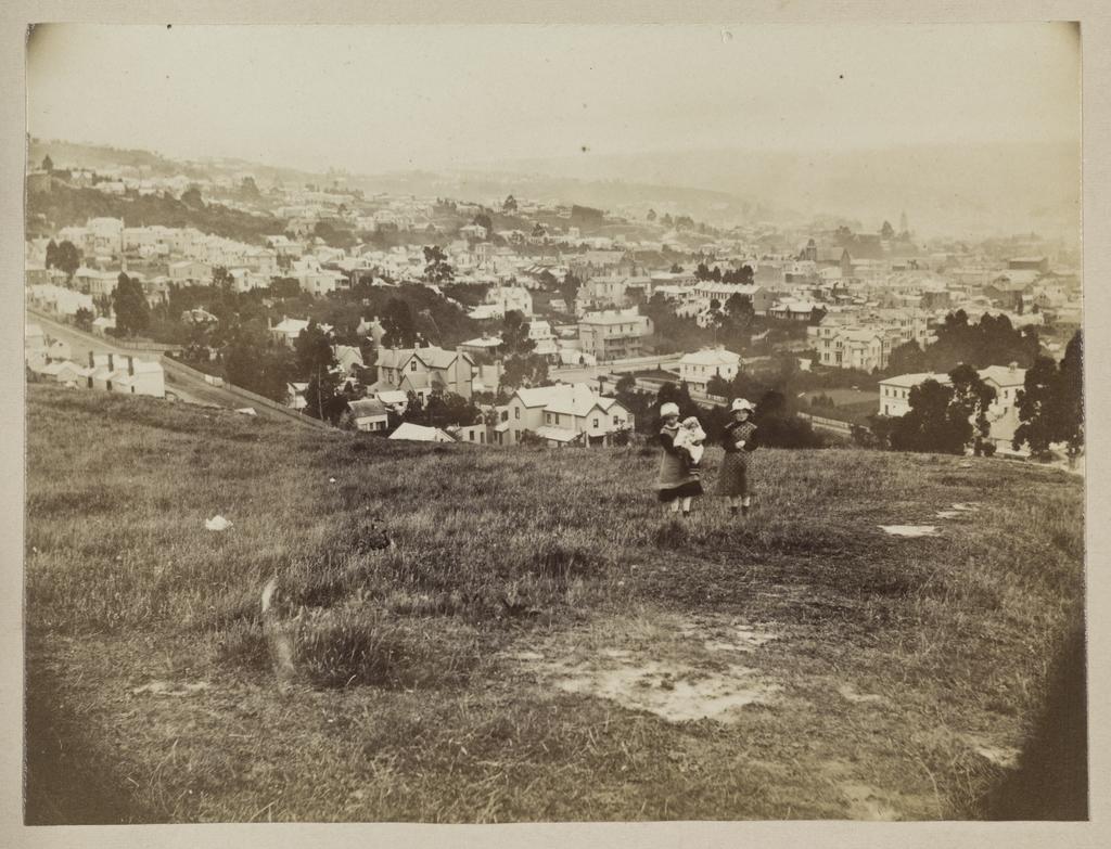 Dunedin from Unity Park