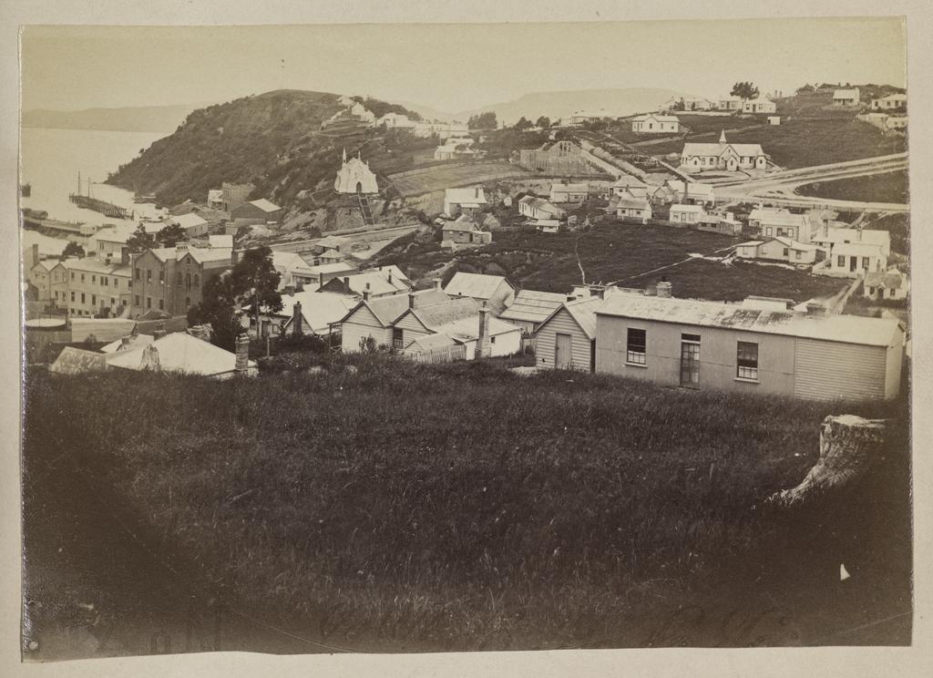 Elevated view of Port Chalmers