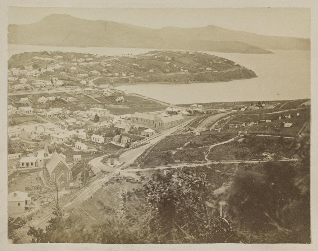 Elevated view of Port Chalmers