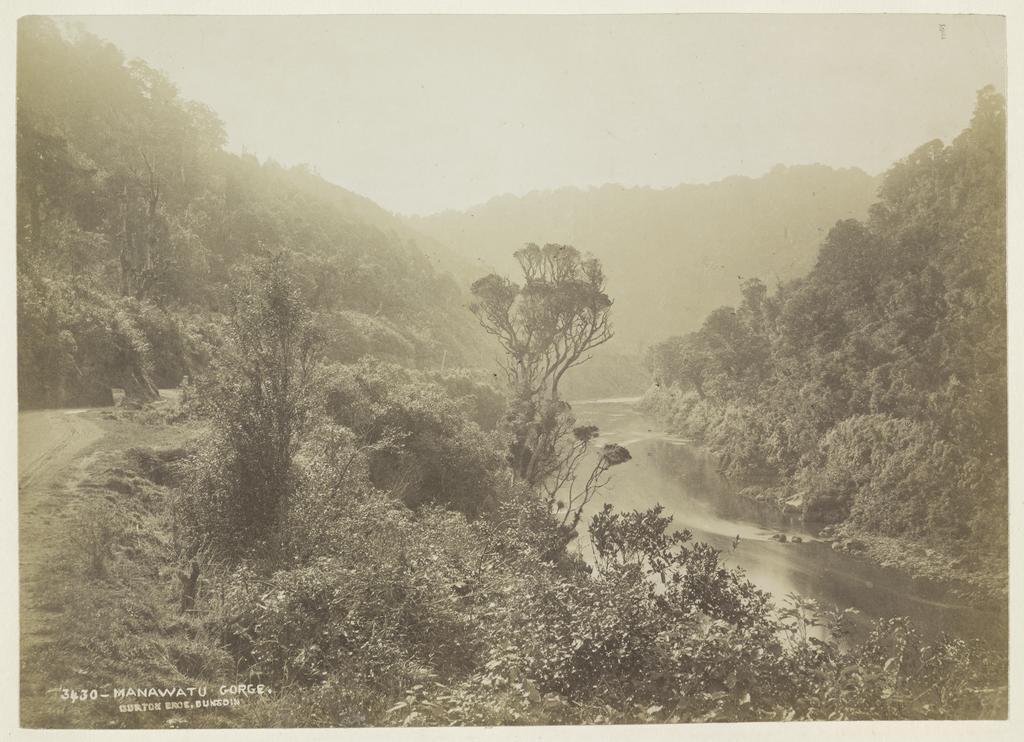 Manawatu Gorge