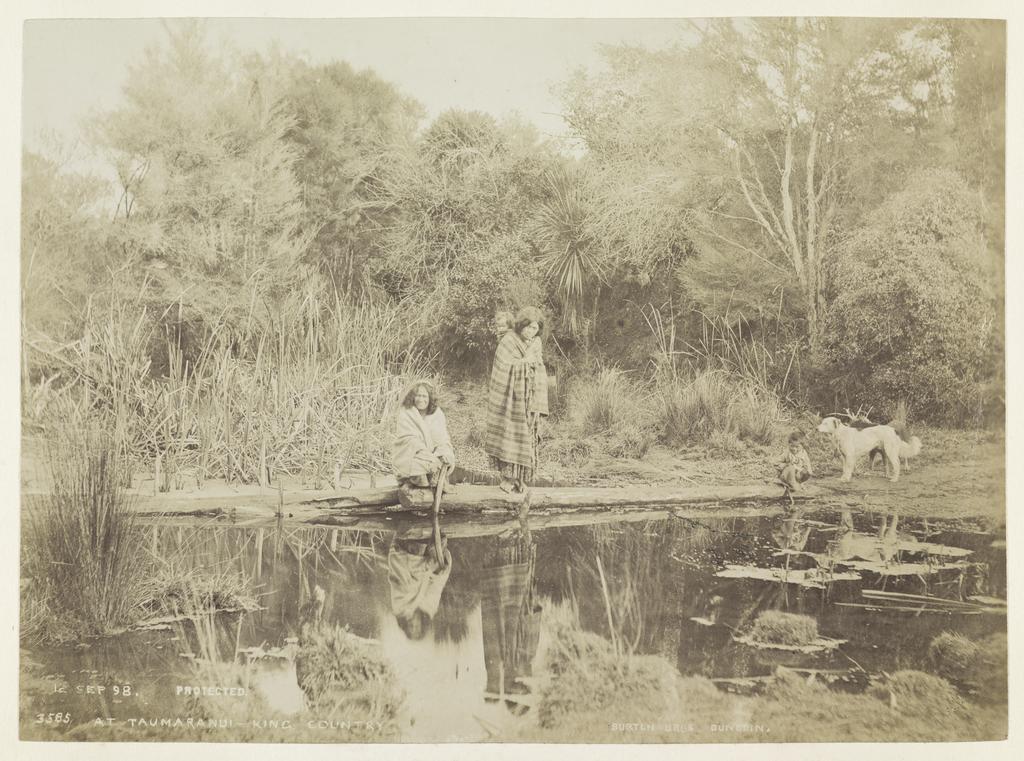 At Taumaranui [Taumarunui], King Country