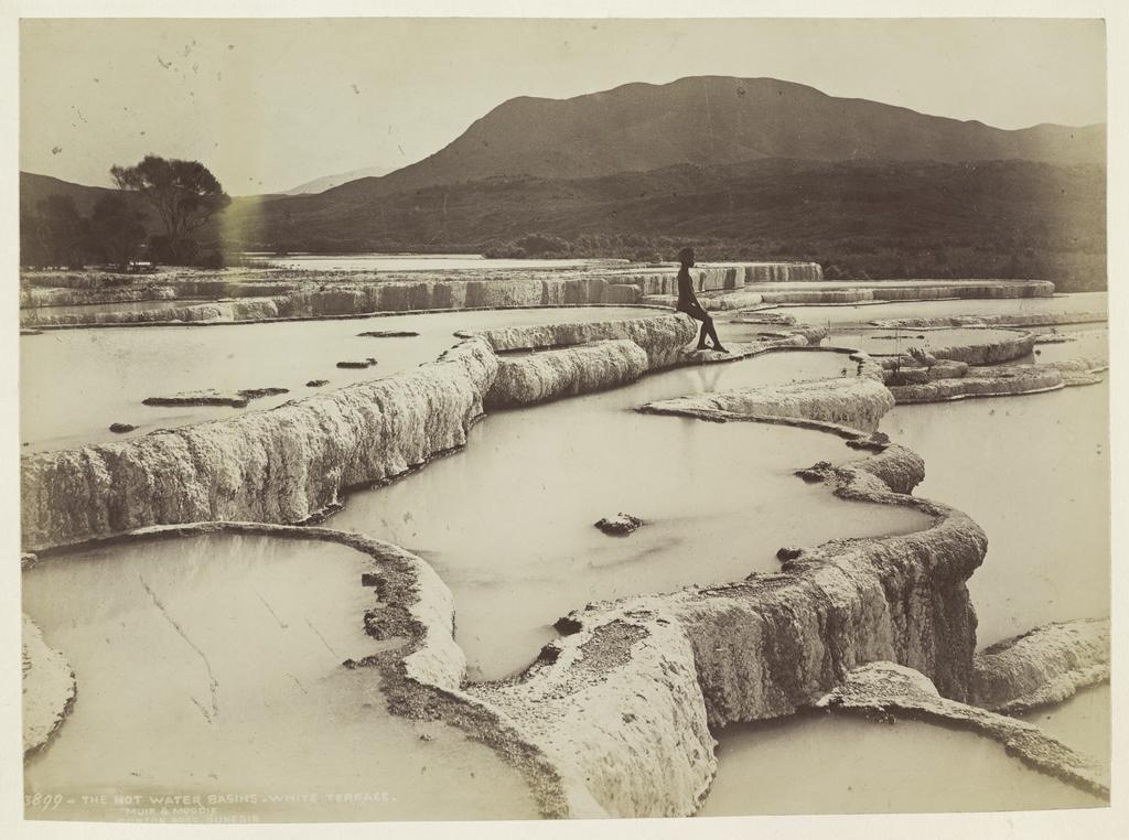 The Hot Water Basins, White Terrace