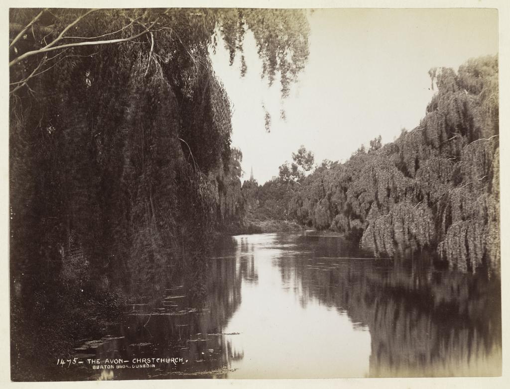 The Avon, Christchurch