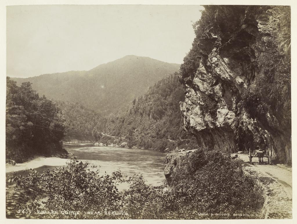 Buller Gorge near Berlin's