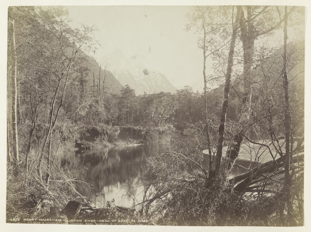 Mount Mackenzie, Clinton River, Head of Lake Te Anau