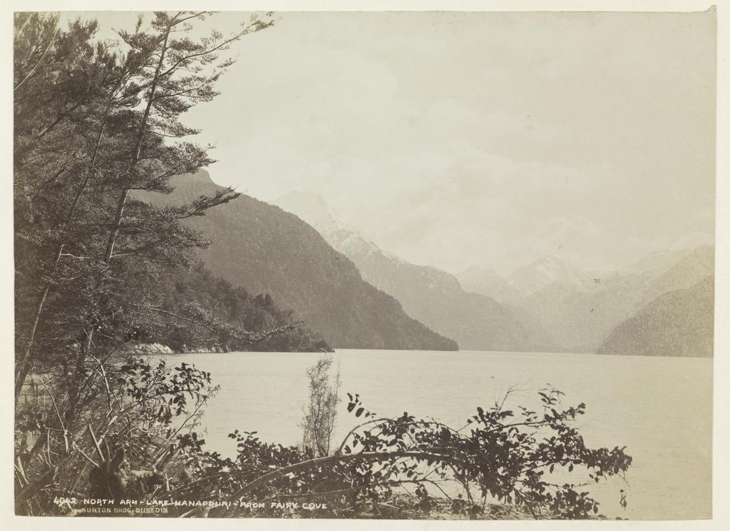 North Arm, Lake Manapouri, from Fairy Cove