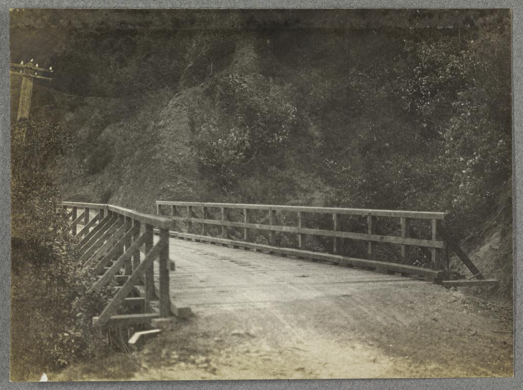 Bridge, Manawatu Gorge