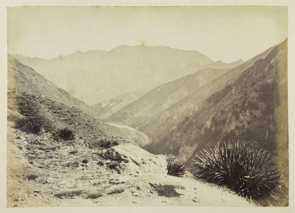 Allender Creek, Moonlight