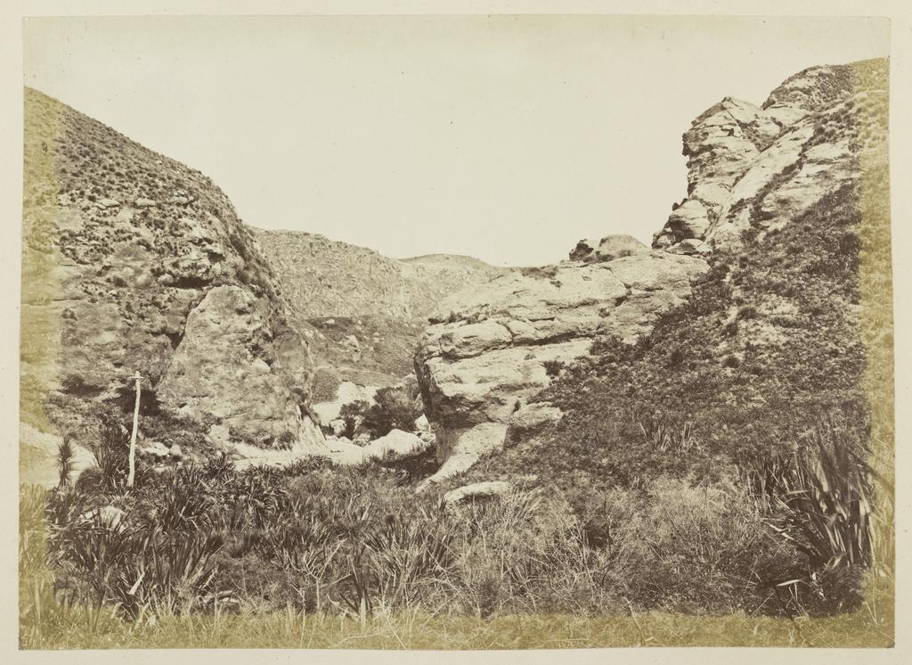Trotter's Gorge, Horse Range