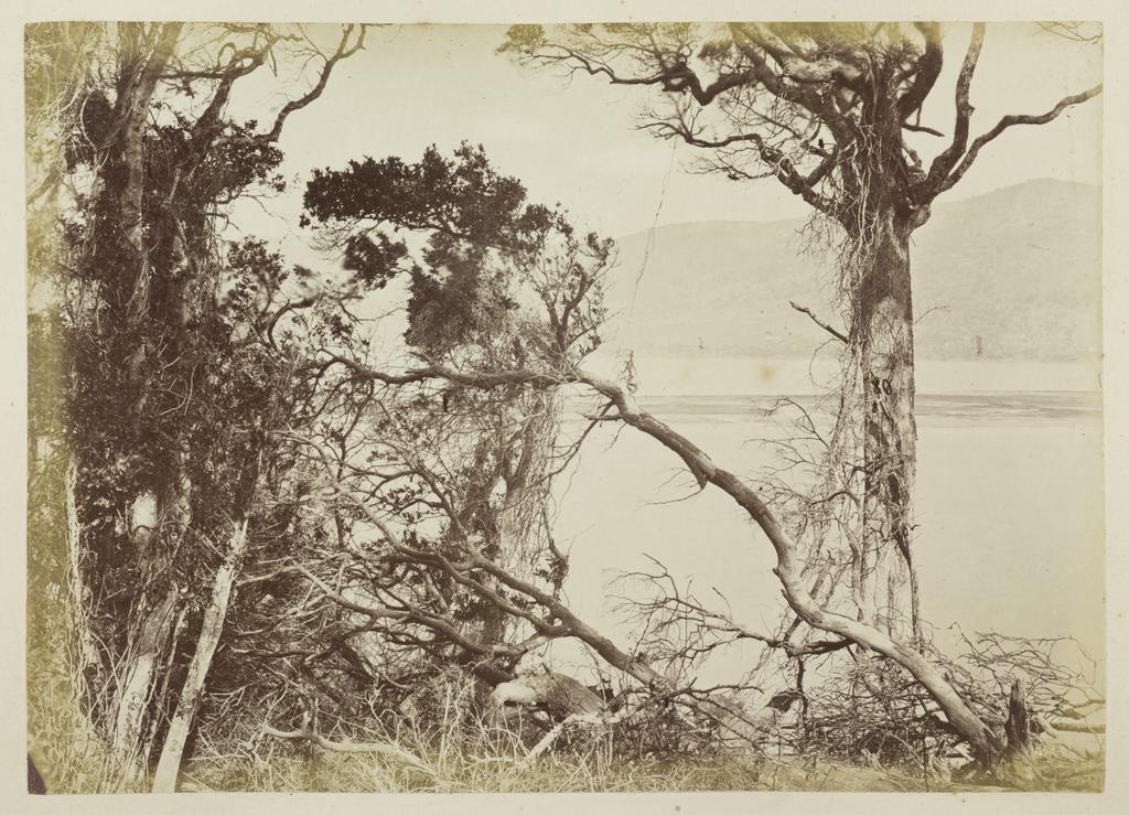 Looking across harbour to Peninsula