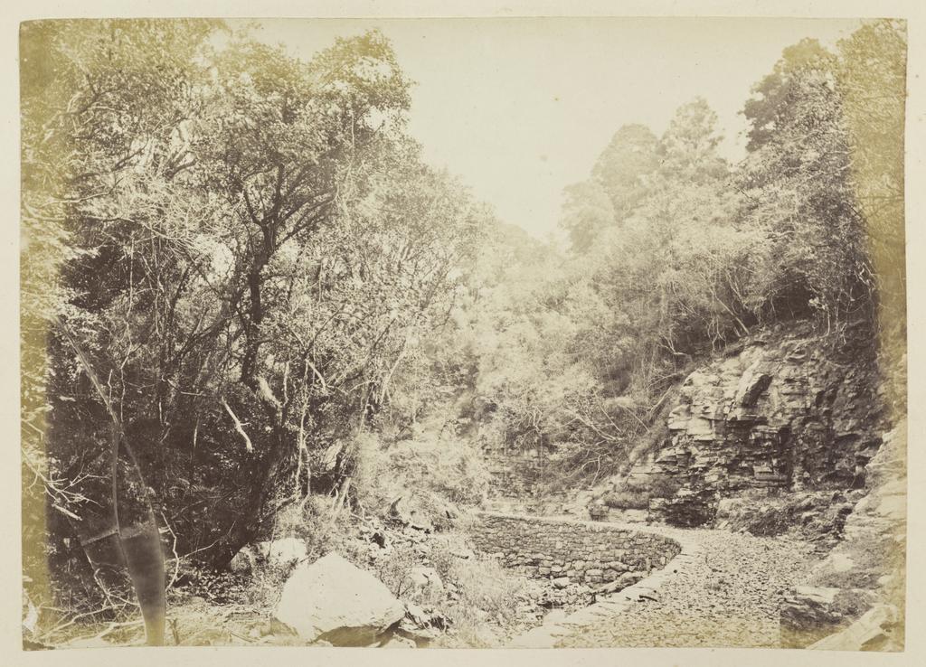 Reservoir Road, Dunedin