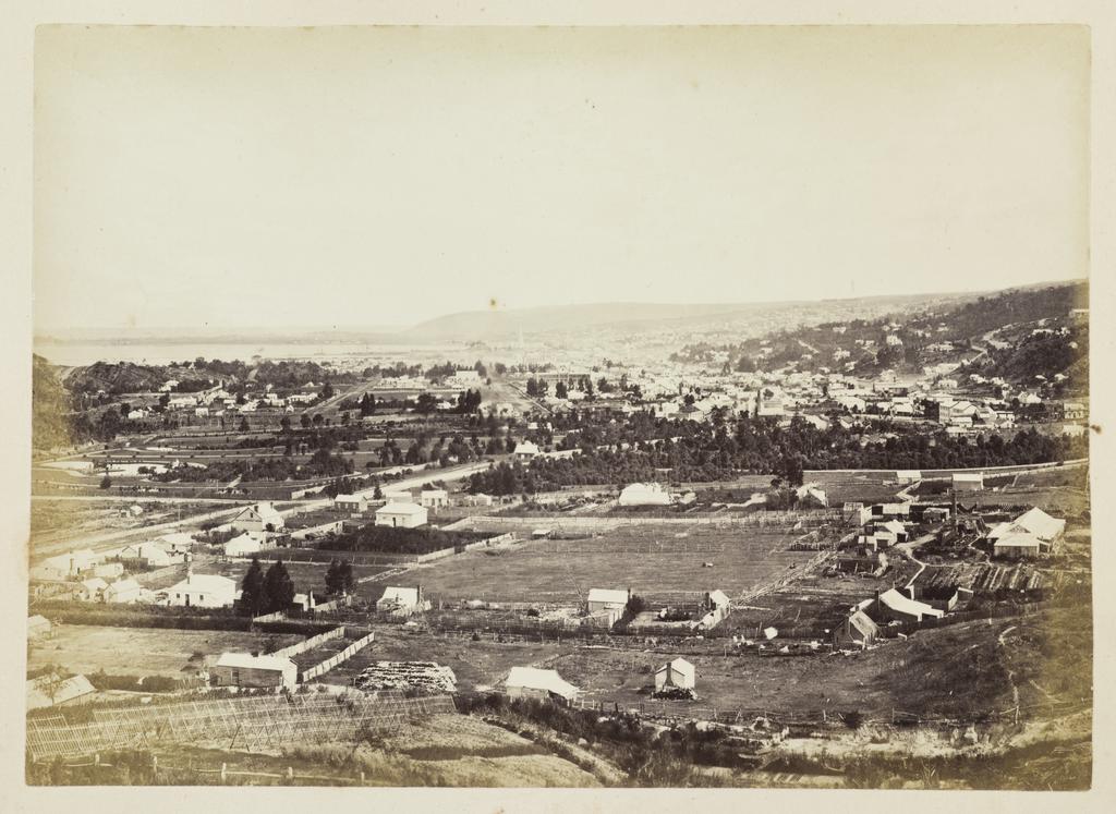 Dunedin from the North East Valley