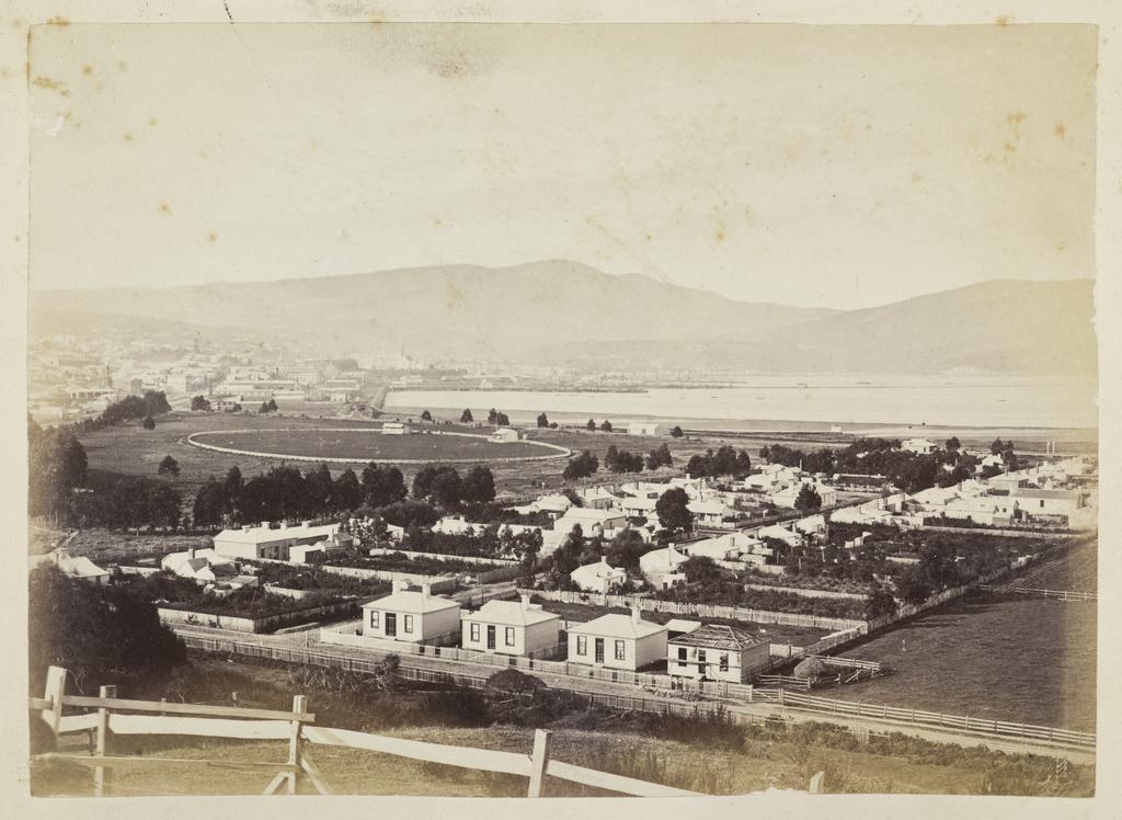Dunedin from the southwest