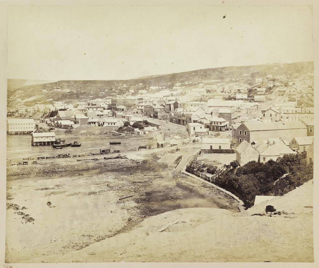 Dunedin from Bell Hill