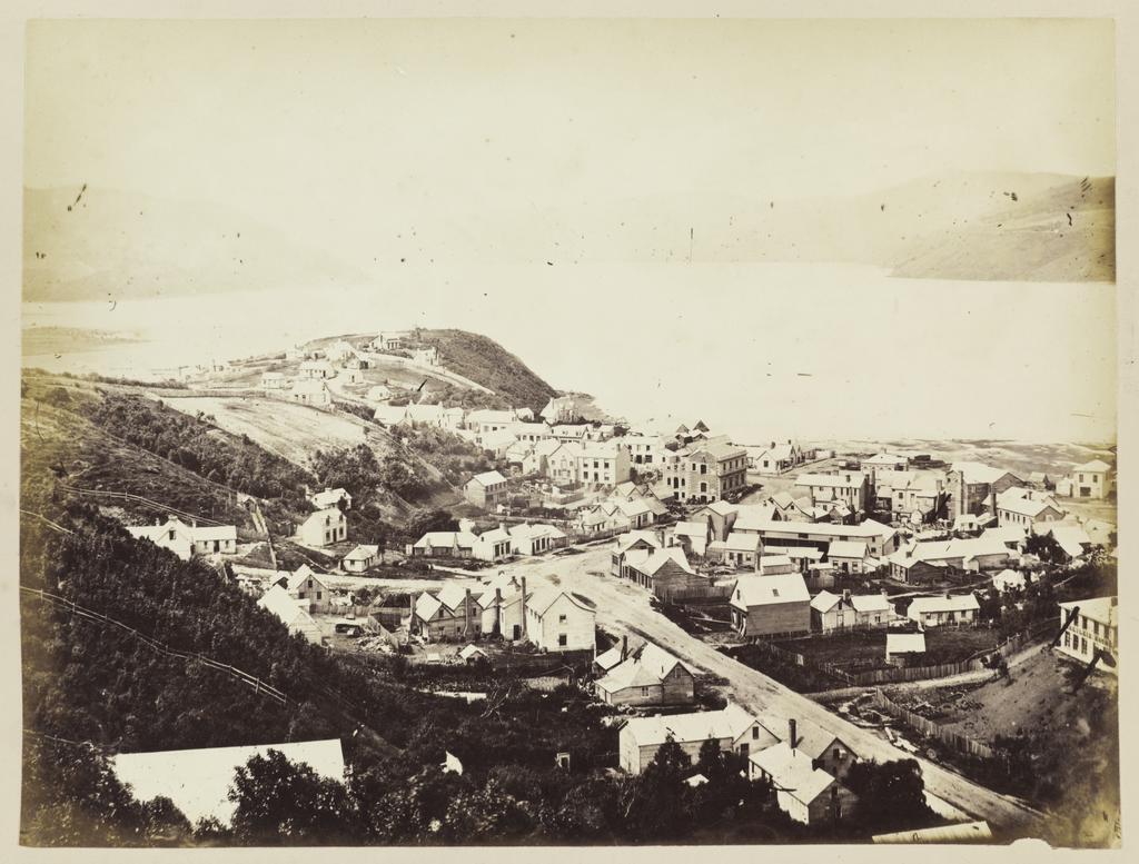 Dunedin from Canongate