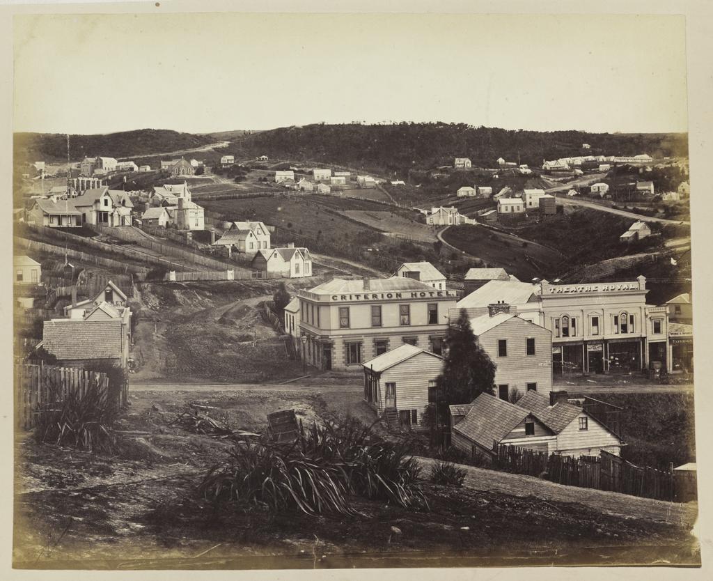 Dunedin from Bell Hill