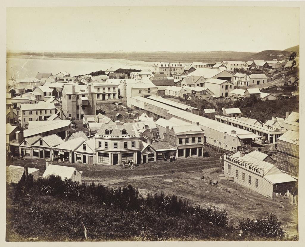 Dunedin from Dowling Street