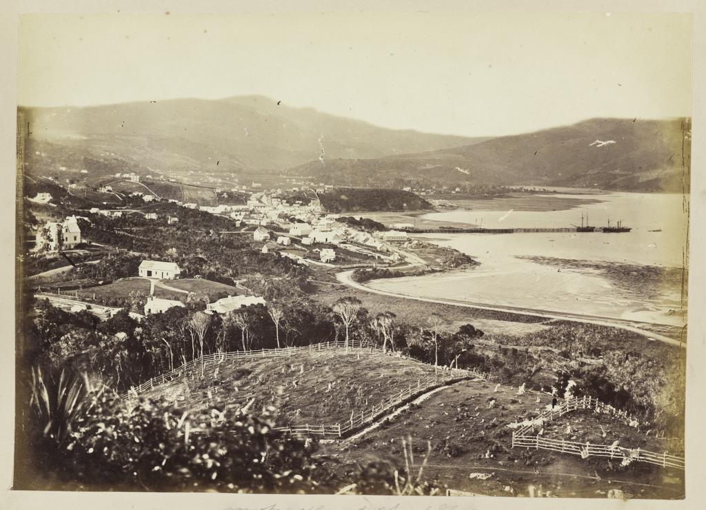 Dunedin from Maitland Street