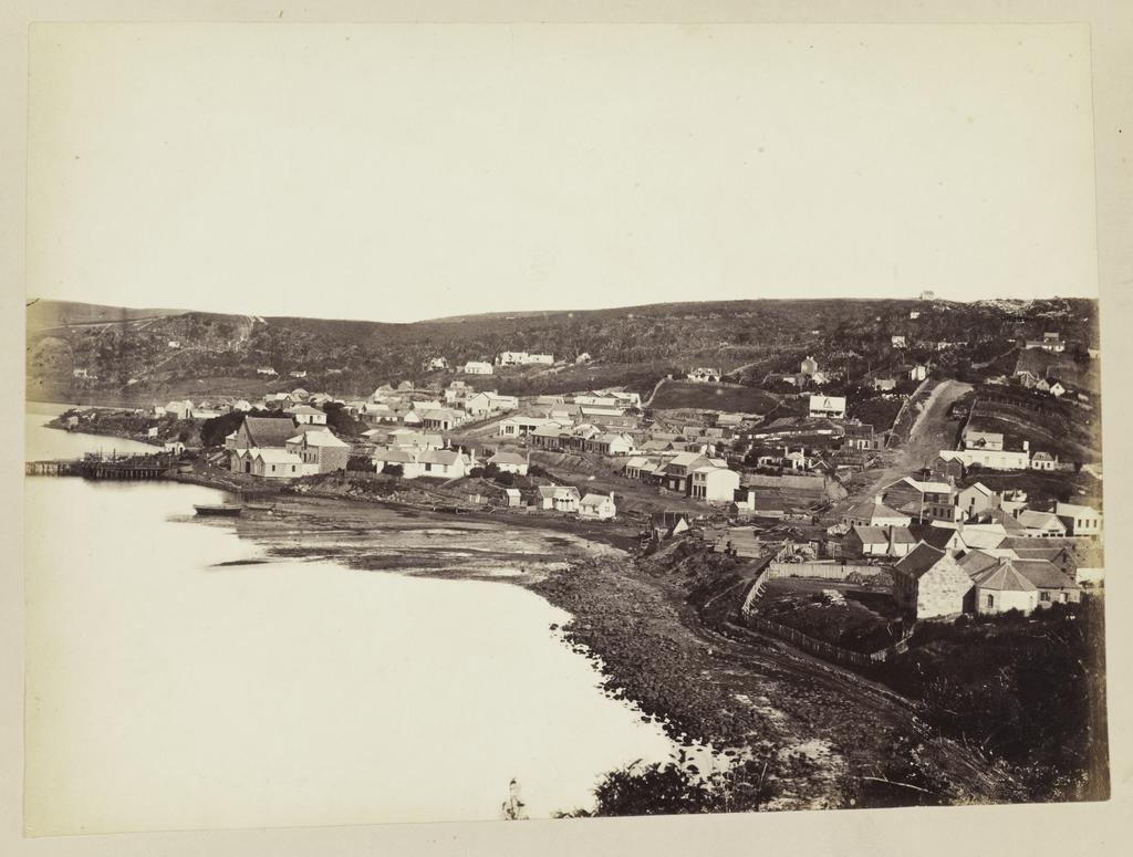 Dunedin from Bell Hill