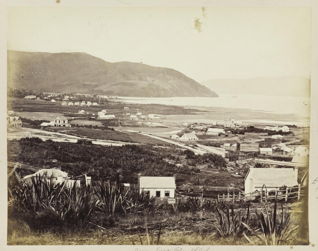 Dunedin from View Street 1861