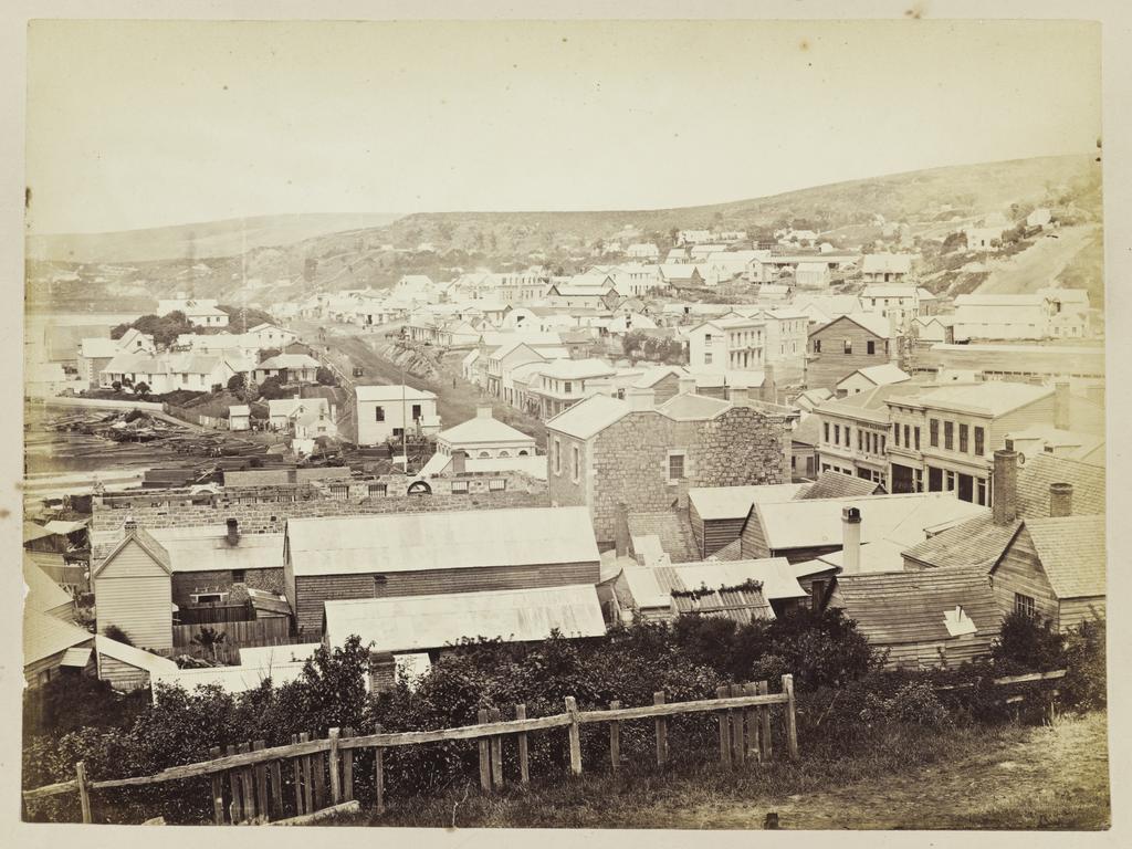 Dunedin from Bell Hill