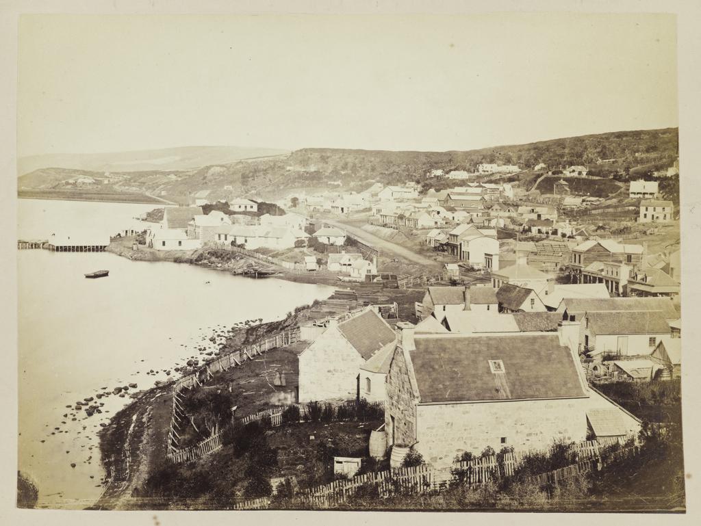 Dunedin from Bell Hill