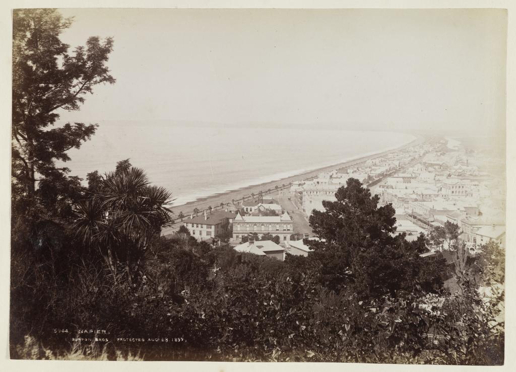 Napier