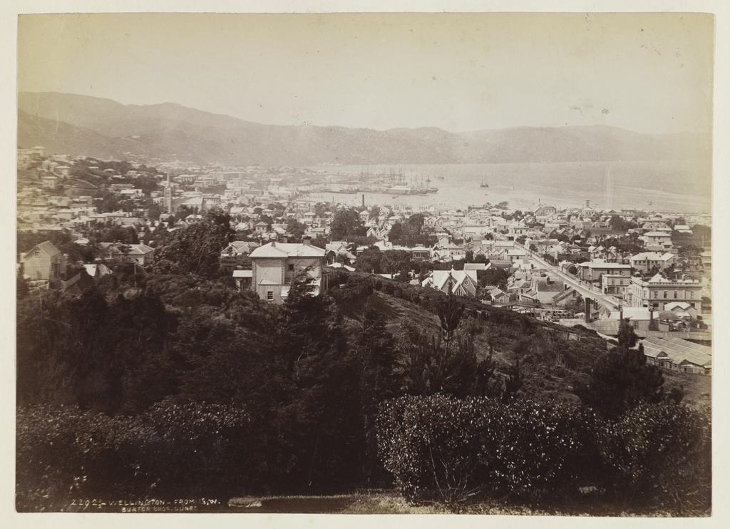 Wellington from south west