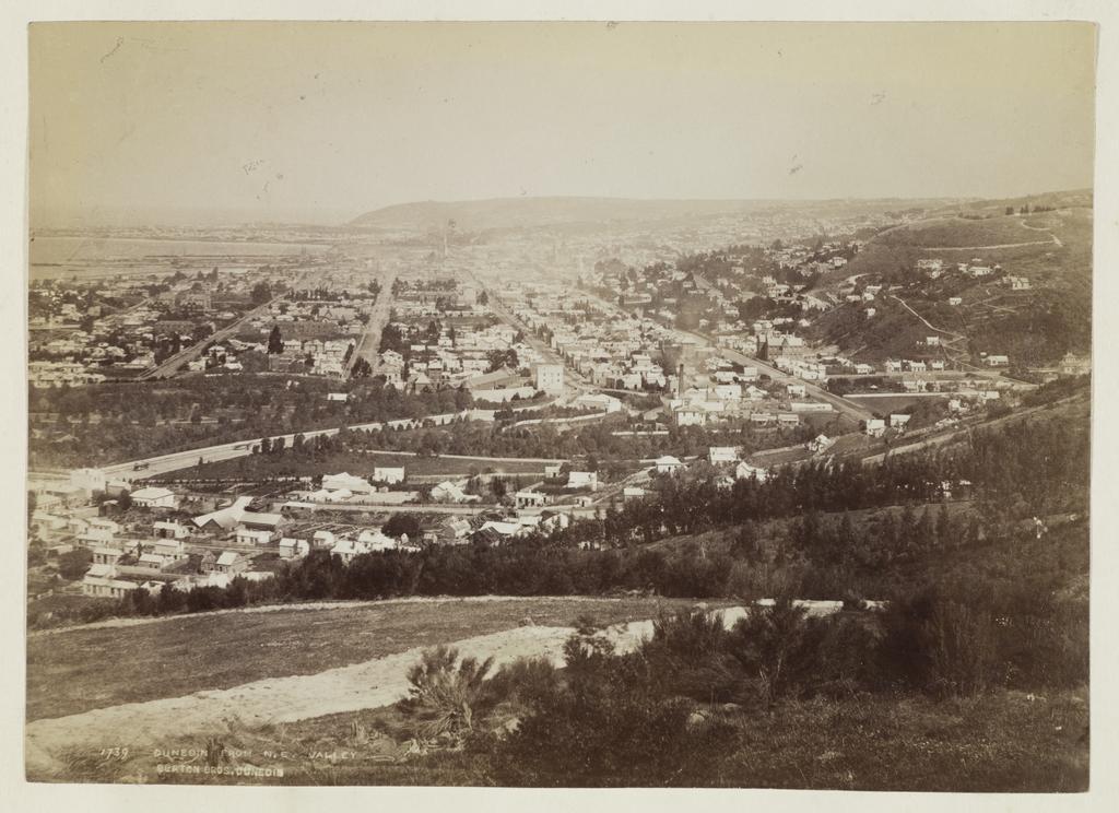 Dunedin from North East Valley
