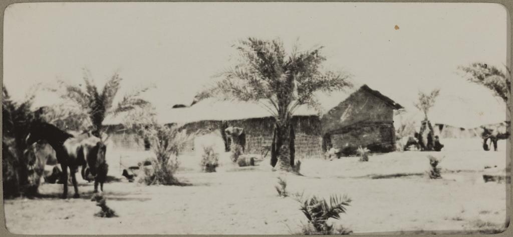 Our Hut. Signal depot, Maqil, Basra