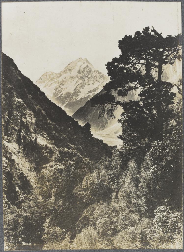 Mount Cook