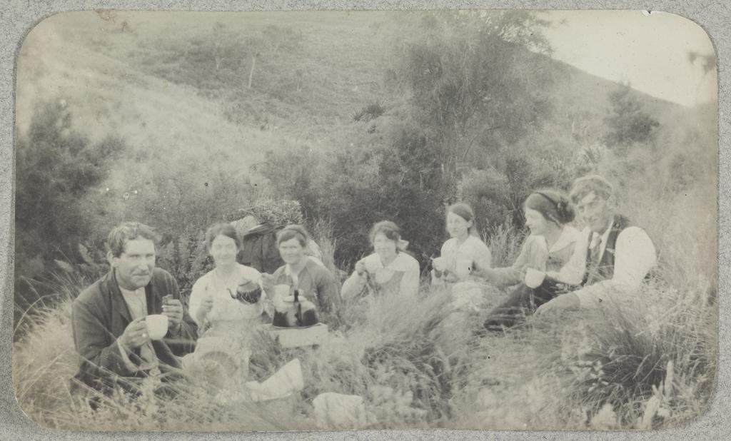 Picnic Kowhai Bush, Wairuna