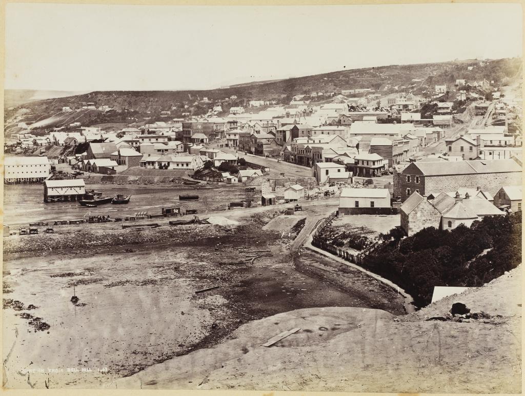 Dunedin from Bell Hill